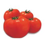 ���¶� ���̾�