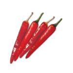 �ҳ�Ÿ�񰡸�