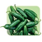 ��Ÿ�÷���