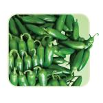 ��Ÿ�÷�����