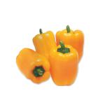 ���ǿ��ο�