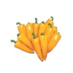 ���ο���