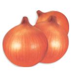 �����̵�