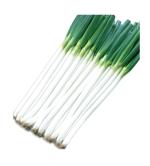 �忭(�ݿ쿡��)