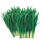 ��Ʈ��׸���Ʈ