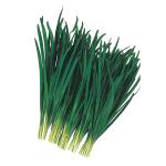 �ϴٱ׸���Ʈ