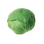 ���ͽ�����