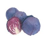 �߻�����