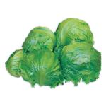 �����̼�