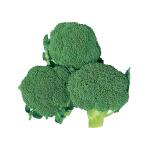 ���̽��׸�