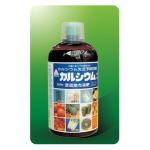 Į�����⽺