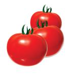 ���¶� �÷���