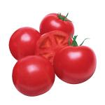 ���¶� �ֶ�