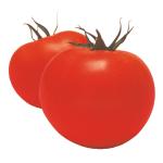 ���¶�������