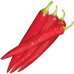 PR ������Ÿ