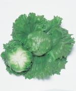 �׸�����