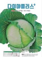 ���̾��÷���