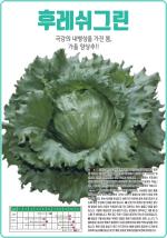 �ķ����׸�