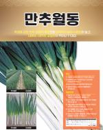 ���߿���