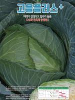 �����÷���