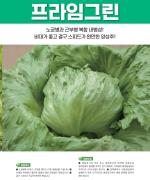 �����ӱ׸�